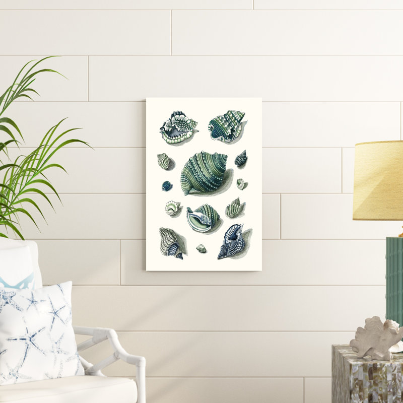 «Celadon Shells II» par Vision Studio - peinture sur toile tendue, H 30 po x l 20 po