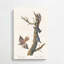 Nuthatch & Creeper Birds by John Audubon - Wrapped Canvas-55359331