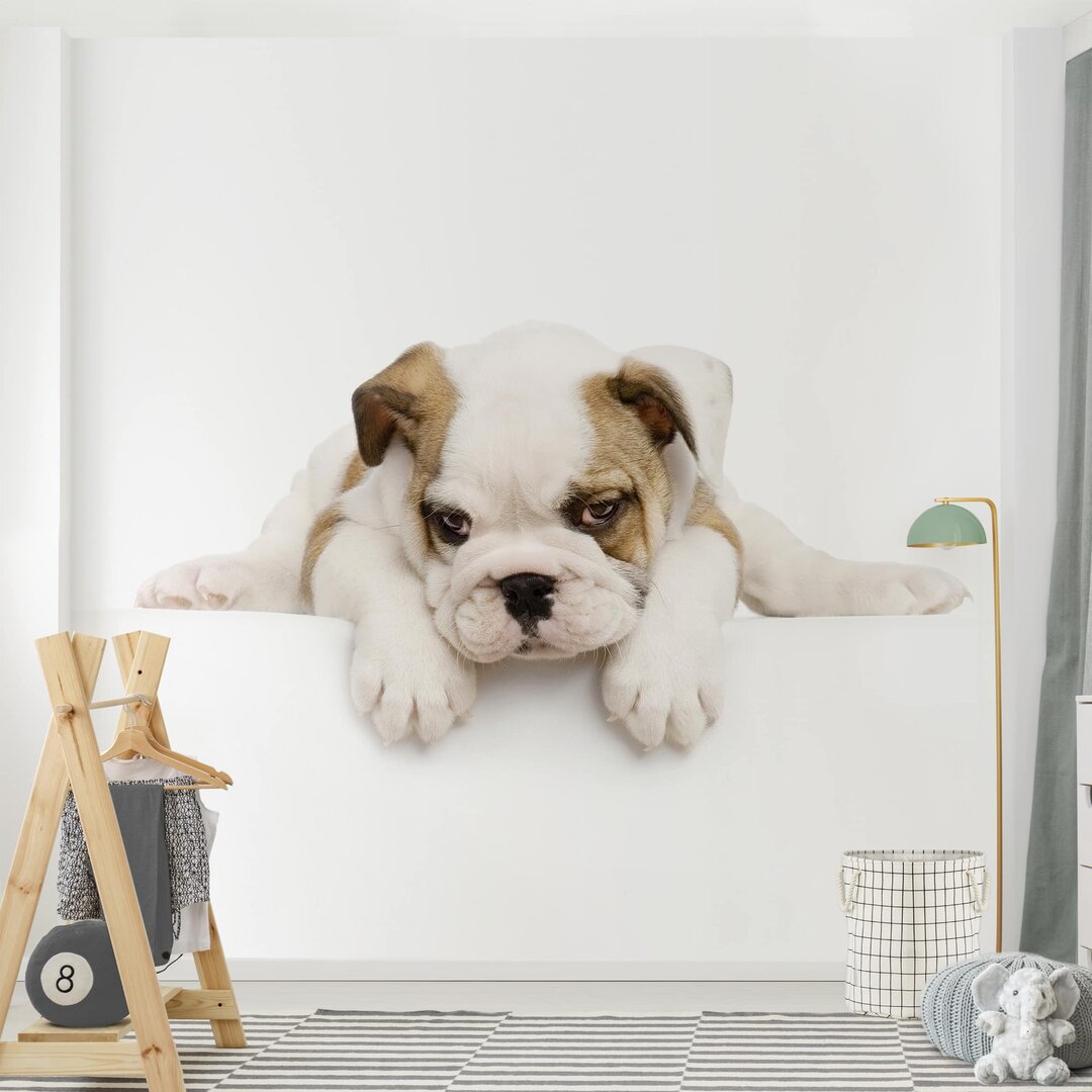 Strukturierte Tapete Small Bulldog 2,88 m x 288 cm