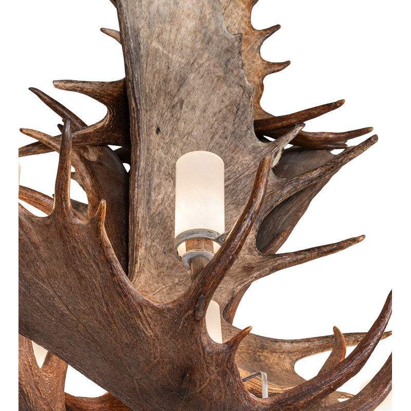 64" Wide Antlers Moose 12 Light Chandelier