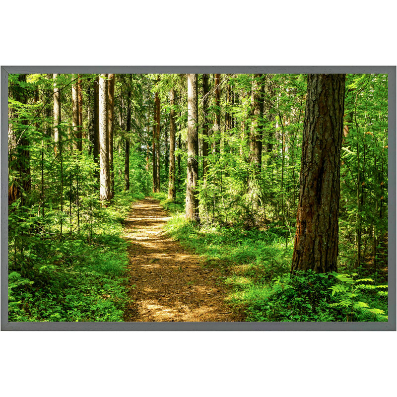 Zolotas Single Picture Frame Print, Grey Framed, 76cm H x 114cm W x 4cm D