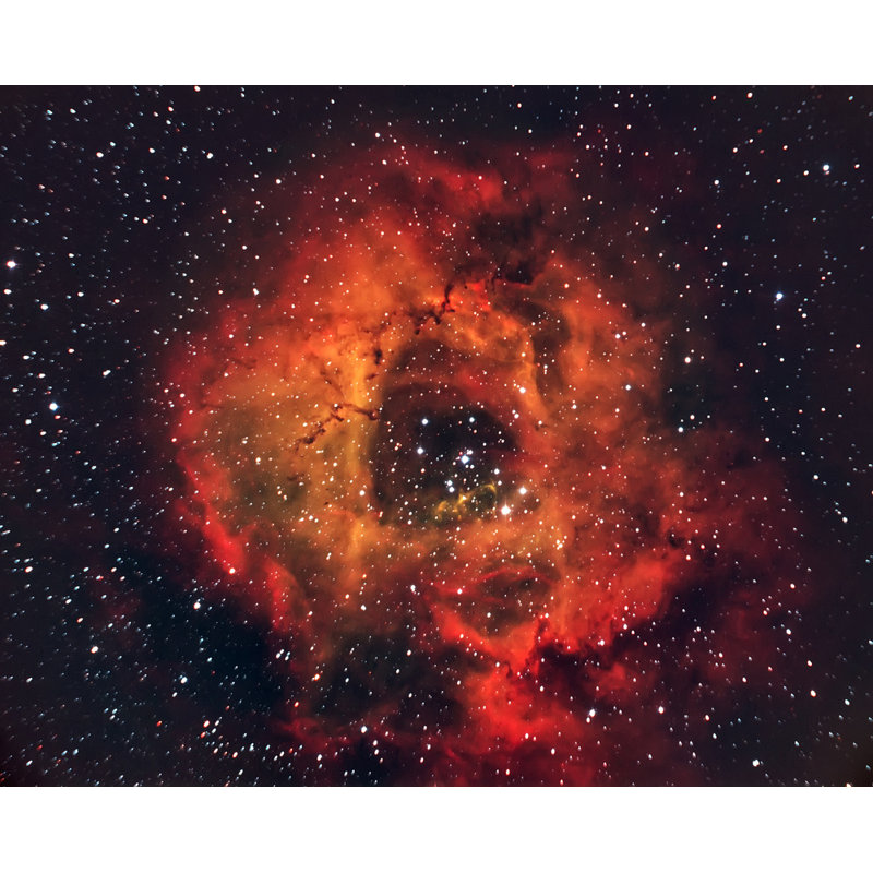 Wrapped Canvas Print, 50.8 cm H x 76.2 cm W