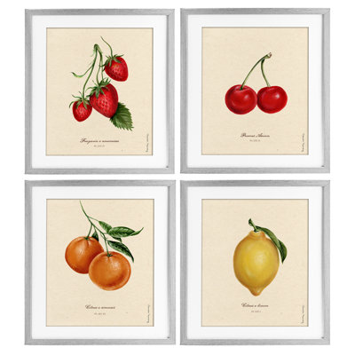 «Vintage Fruit Portraits», ensemble de 4 impressions encadrées sous verre, design par Danielle Murray
