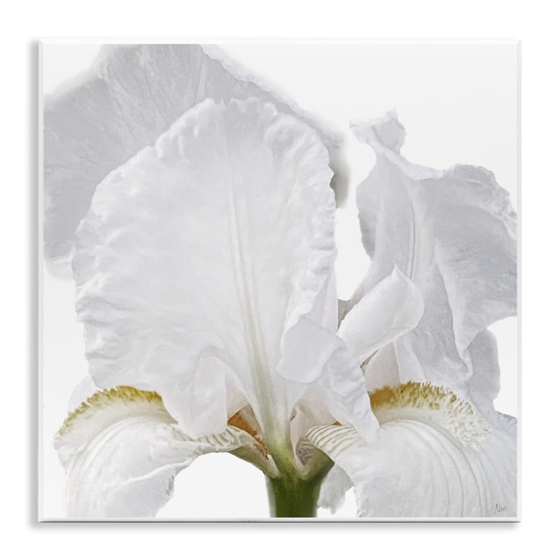 Iris Close Up Wall Plaque Art, design by Nan