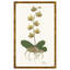 Orchid II Print