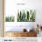 Harnek Desert Cactus Pattern-107878318