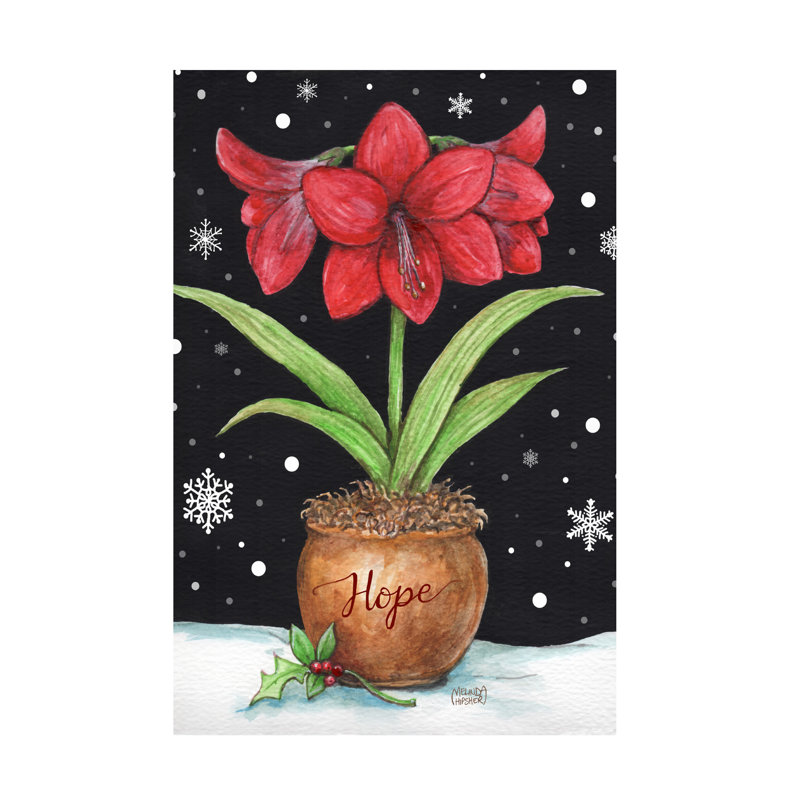 «Melinda Hipsher Amaryllis Flag Hope», art sur toile, H 16 po x l 24 po