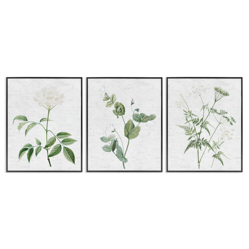  "Soft White Botanicals", ensemble de 3 giclées par lettres et lignes, H 14 po x l 11 po, Giclée encadrée noir minuit