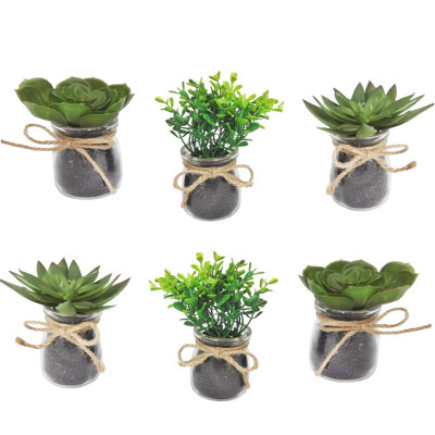 4.5'' Faux Succulent Plant in Glass Vase