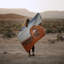 Arches National Park Wool Throw