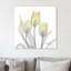 Sunday Morning Tulips Two - Wrapped Canvas Print-127730524