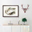 Australian Egret by Elizabeth Gould - Single Picture Frame Painting-55456811-55456812