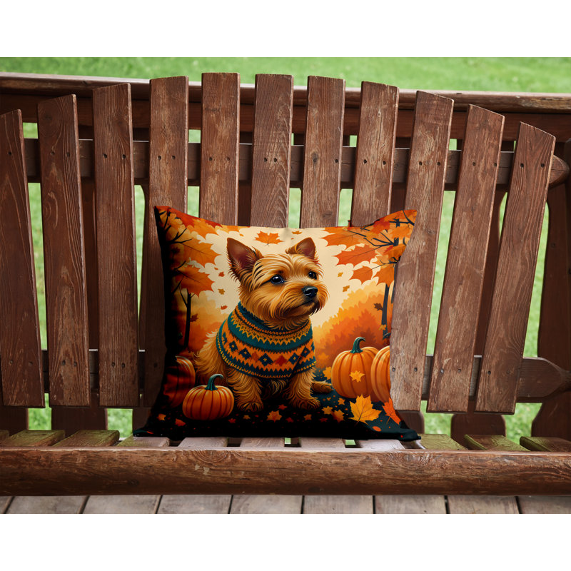 Coussin décoratif Norwich Terrier, 14 po x 14 po