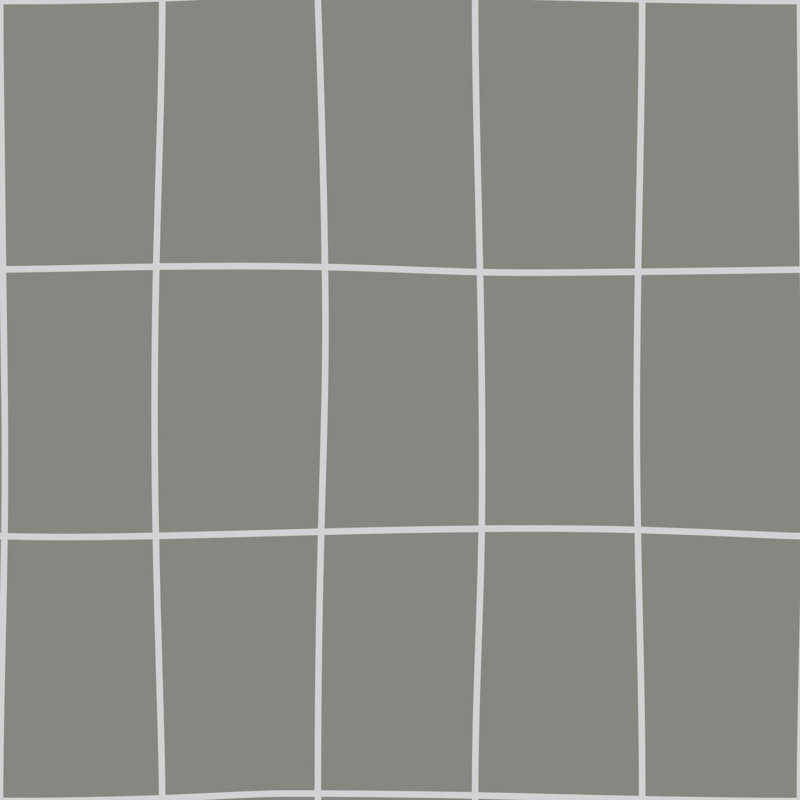 Rouleau de papier peint à carreaux et vichy 32,8 pi x 20,8 po Huertas Grid, Gris anthracite / lueur