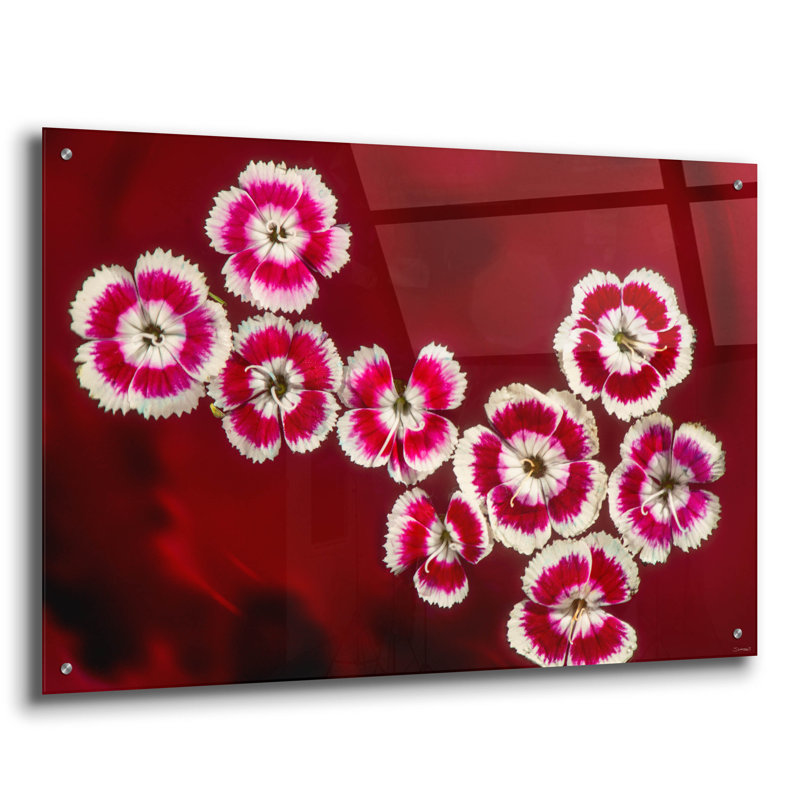 «Macro Flowers 02» par Gordon Semmens, H 24 po x l 36 po x P 0,2 po