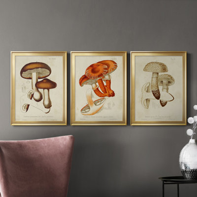 Champignon Variétés VI, reproduction encadrée de qualité supérieure, prête à être accrochée