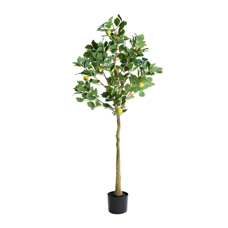 158cm Faux Bonsai Tree in Pot