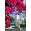 Tapis lavable à la machine Alacati-1416885110