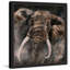 Bergerac - Single Picture Frame Painting-19914573