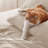 Bedsure Polyester Microfiber Sheet Set Hotel Luxury Sheets, Easy Care Cooling Bed Sheet Set 84GSM(80" x 95")GentleSoft™️-111074243-111074236