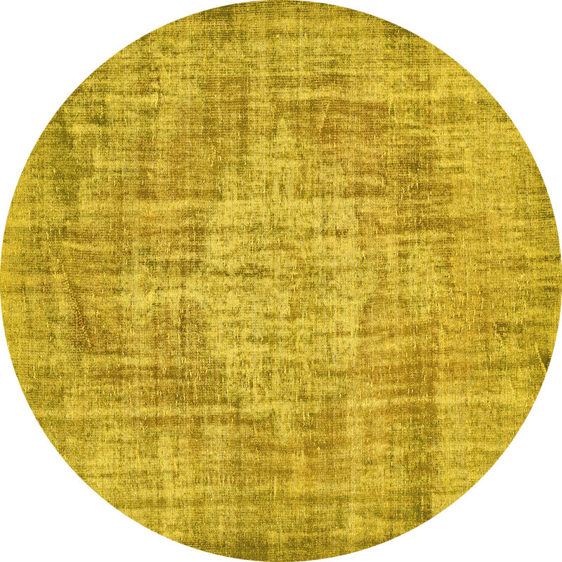 Elexander Performance Indoor Rug, Round 4'