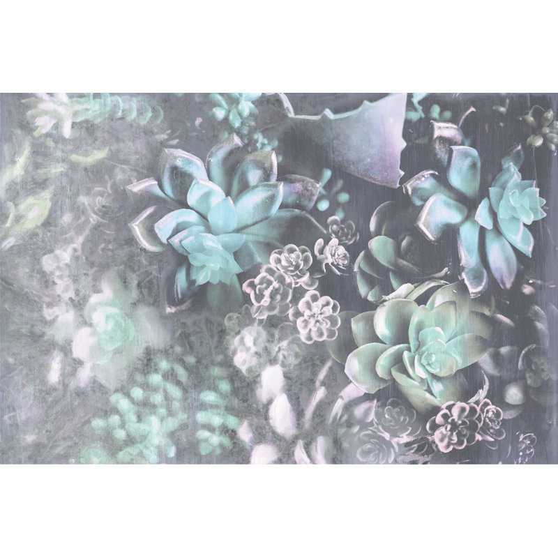 Pastel Succulents 1 - Wrapped Canvas Painting, 30cm H x 46cm W x 3.8cm D