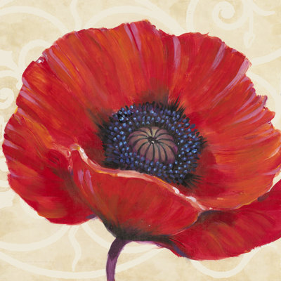Coquelicot rouge I