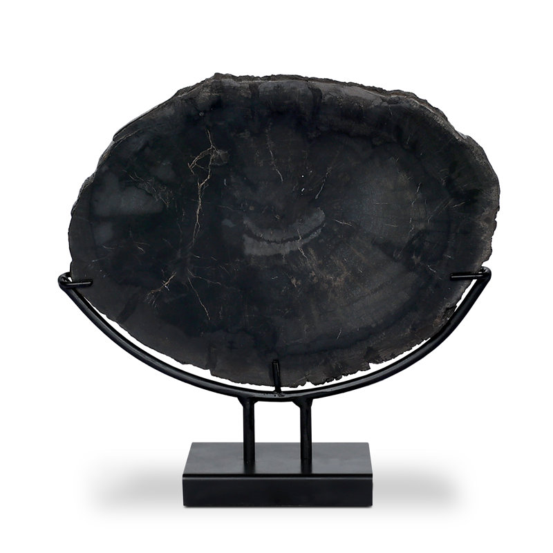 Petrified Decorative Object