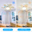 Alisha-Ann 75cm Ceiling Fan with Light Kit-905805412