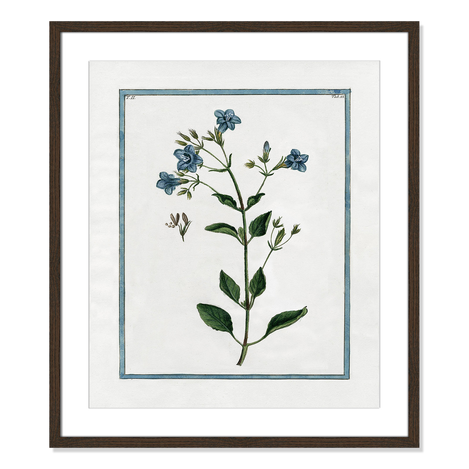 Shabby Elegance Botanical II - Framed Art, 21.5" W x 25.5" H, Walnut Framed