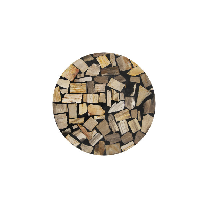 Petrified End Table