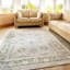 Olsen Oriental Area Rug-62837639
