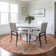  Aleg Area Rug with Non-Slip Backing