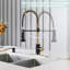 Blue Elephant Pull Down Kitchen Faucet-1325887830