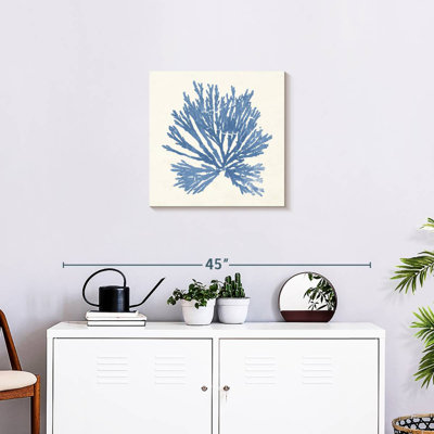 Brampt Pacific Sea Mosses II Light Blue
