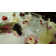 Friendship Royal Albert Miranda Kerr 3 Piece Bone China Place Setting Set, Service for 1