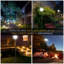 Lamp Post (Full)