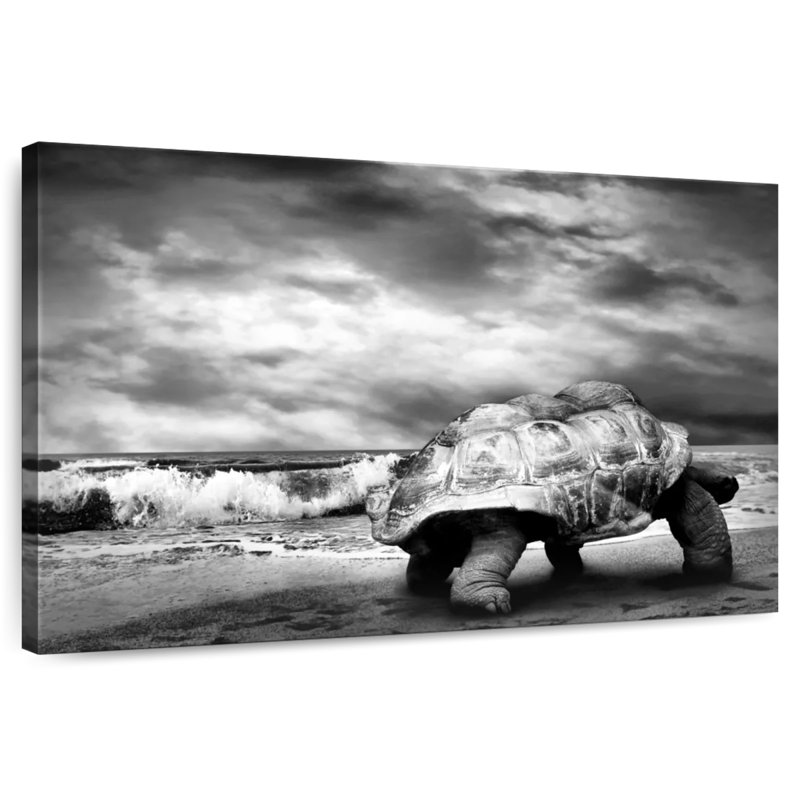 Tortue géante Brampt BW, H 20 po x l 30 po