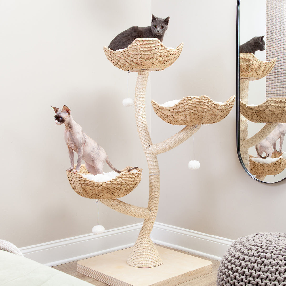 Purrfect Fence 52'' H Cat Tree | Wayfair