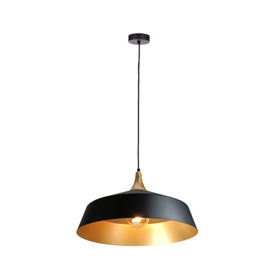 Blossburg 1 - Light Pendant