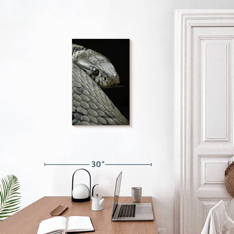 Brampt Necklace Snake, 24" H x 16" W