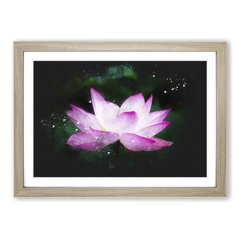 Pink Water Lily Flower Vol.2 - Picture Frame Graphic Art, 48cm H x 65cm W x 2cm D, Oak Framed