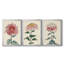 «Chrysanthemum Woodblock I», ensemble de 3 peintures sur toile encadrées-1694466987-1694466990