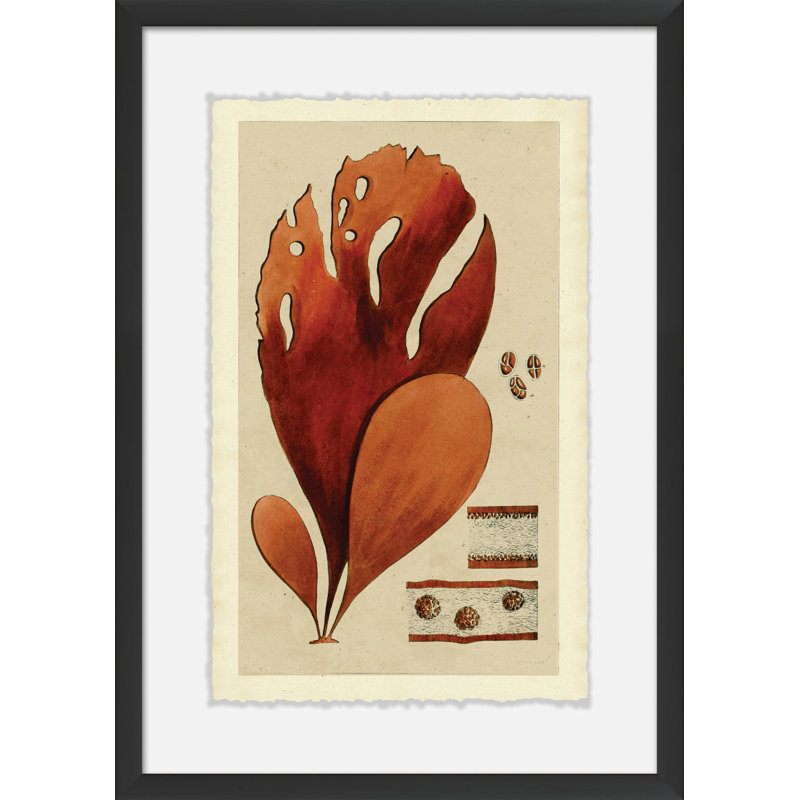 Modern Sea Grass I Painting