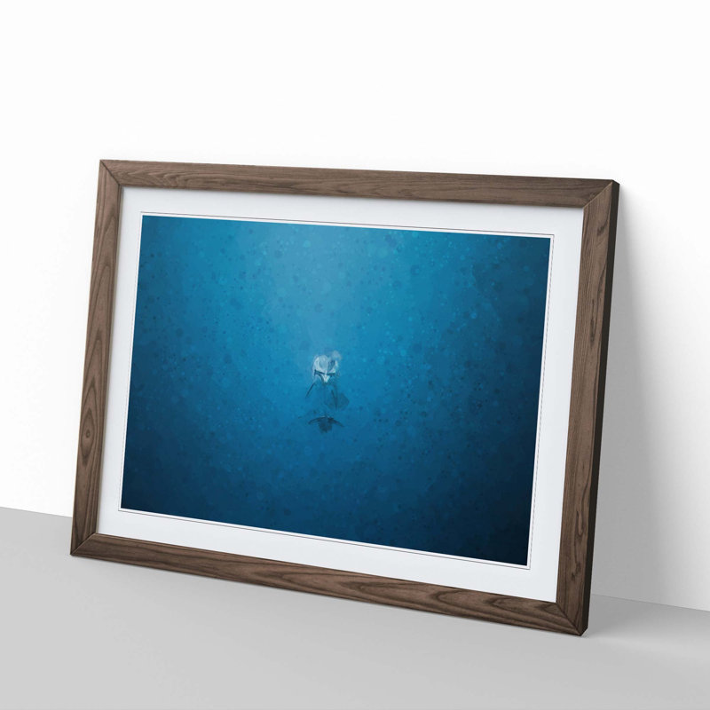 Lone Dolphin in Abstract - Picture Frame Graphic Art Print, 35cm H x 50cm W x 2cm D, Walnut