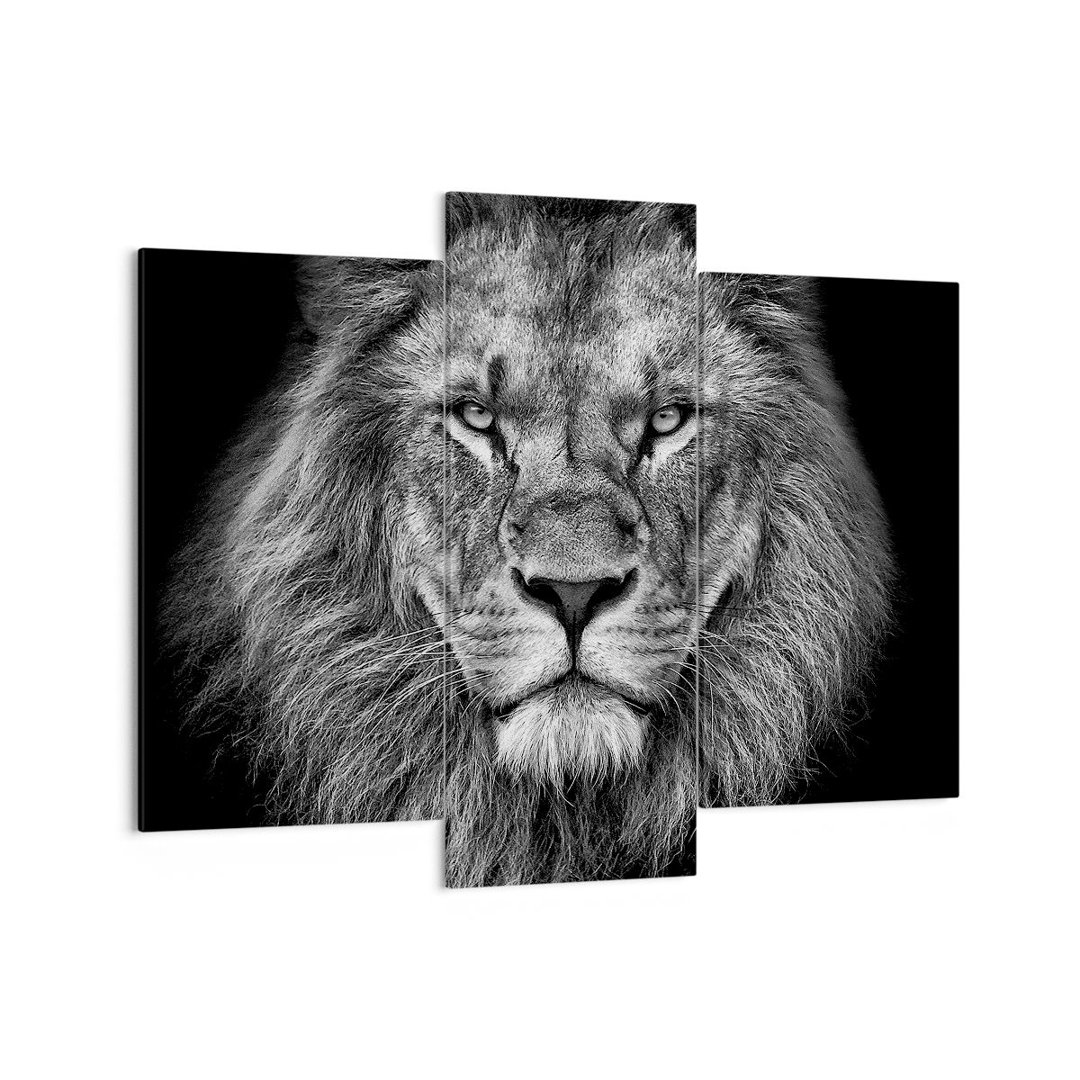 3-tlg. Leinwandbilder-Set Portrait Lion Black and White