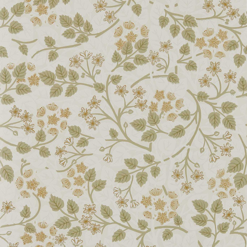 Highgrove Silver Lime, Lichen