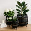 Jardinières modernes en bois de bambou rond pour espaces intérieurs et extérieurs - Pots de fleurs artistiques pour la maison, le salon ou le patio - ensemble de 3
