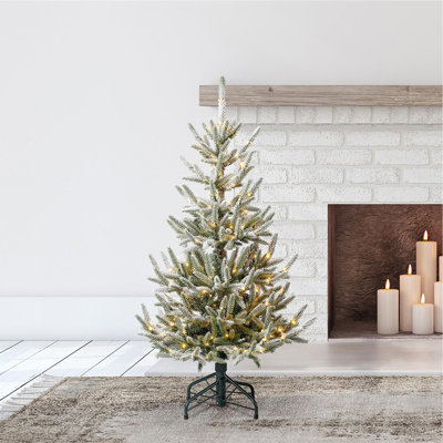  Classics Snowy Abies Pine 4 Foot Prelit Artificial Christmas Tree