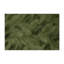 Tapis d'intérieur et d'extérieur vert Nature-526254857